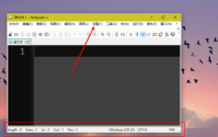 Notepad++如何隐藏状态栏?Notepad++隐藏状态栏的方法