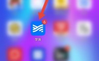 学浪怎么查看侵权投诉指引？学浪查看侵权投诉指引方法