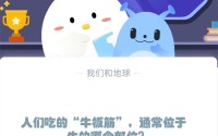 人们吃的“牛板筋”，通常位于牛的哪个部位?支付宝蚂蚁庄园12月5日答案
