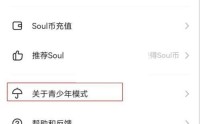 soul怎么开启青少年模式?soul开启青少年模式方法