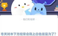 冬天树木下方经常会刷上白色这是为了?支付宝蚂蚁庄园1月9日答案