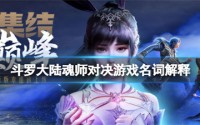 斗罗大陆魂师对决有哪些口语化游戏名词 游戏名词解释说明