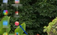 iTunes怎么备份手机里的所有内容?iTunes备份手机里的所有内容教程
